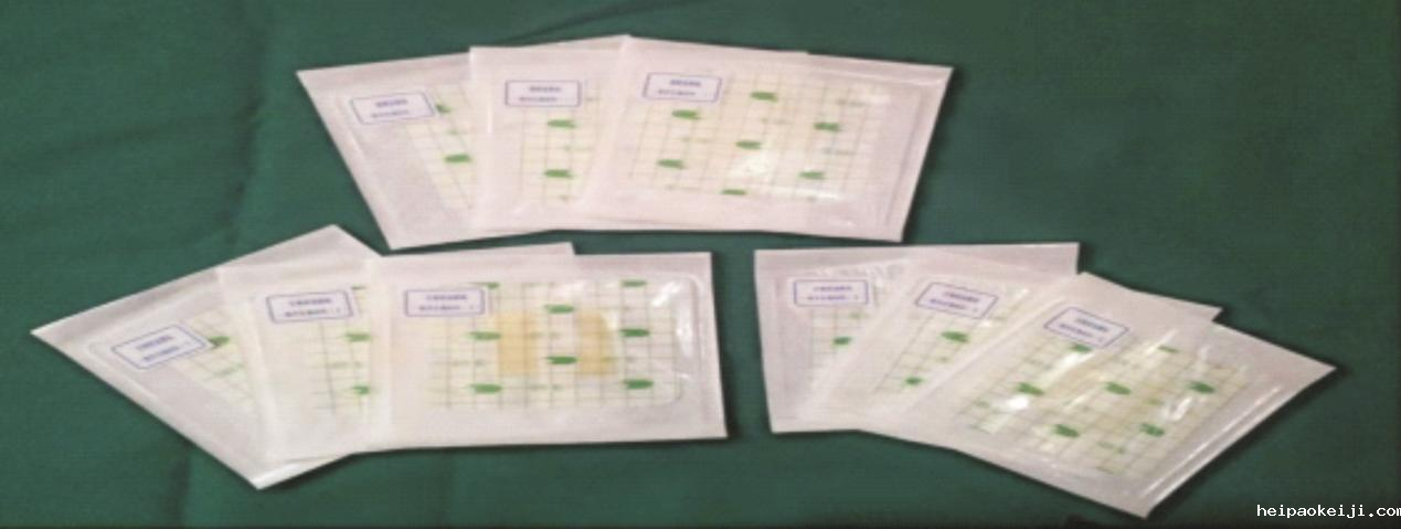 颠覆性新兴产业与产品—— 高端现代敷料产品产业化 