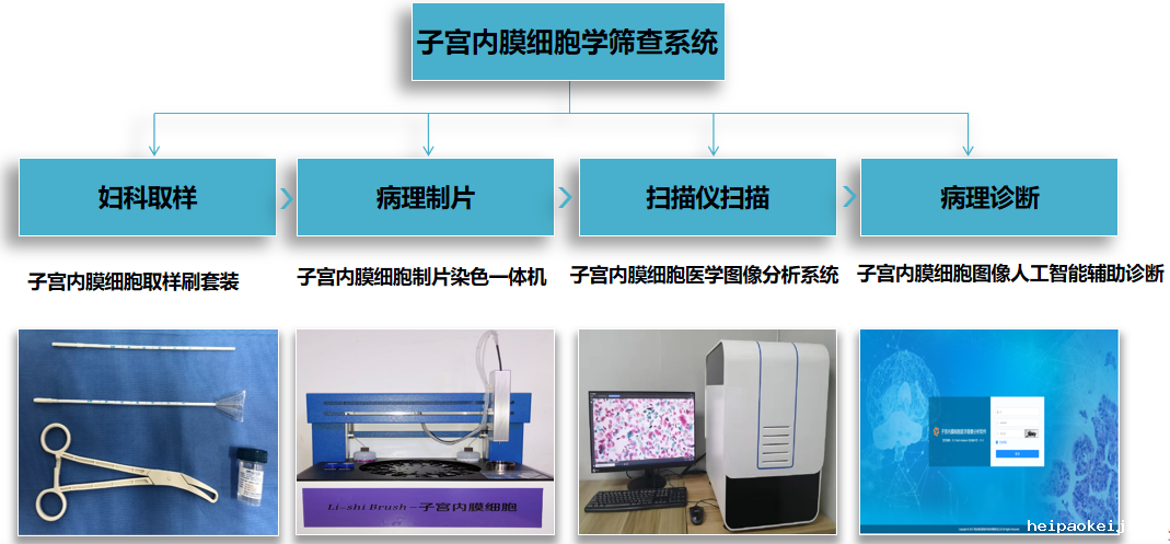 Li-zhong 子宫内膜癌筛查人工智能辅助诊断系统